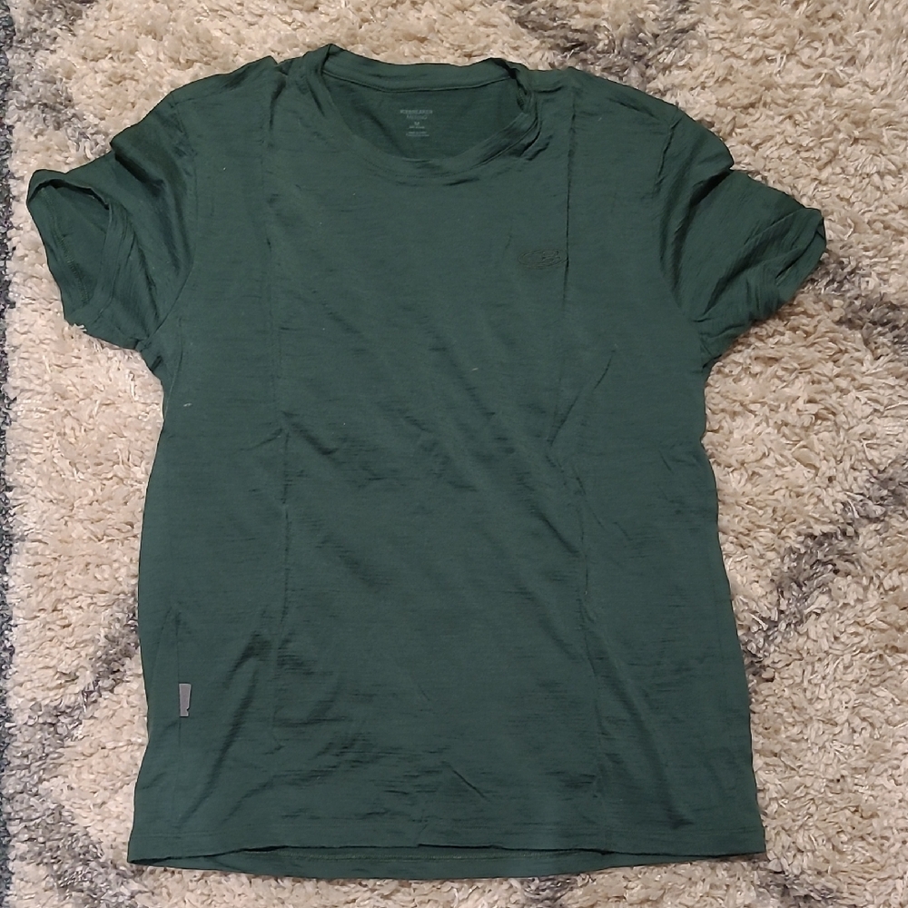 IceBreaker Merino Wool Shirt